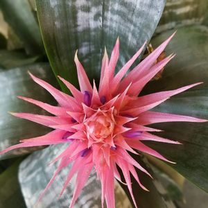 Meet your Posher, Kirsten